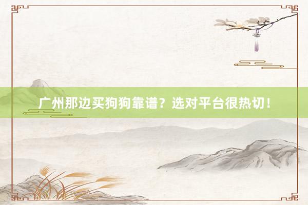 广州那边买狗狗靠谱?选对平台很热切!